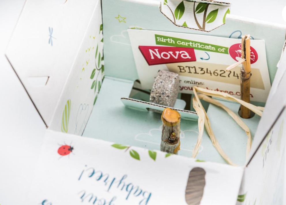 Schermata 2019-12-17 alle 14.05.33