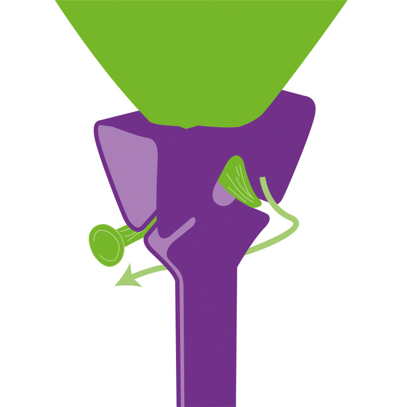 balloon-grip-il-porta-palloncino-in-cartone-50pz-1