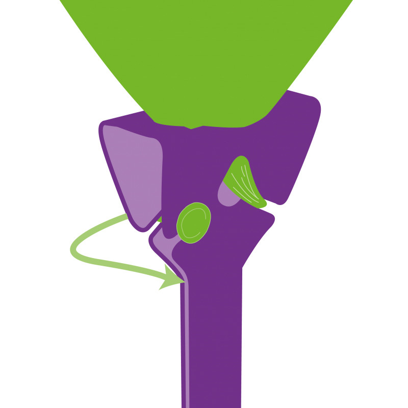 balloon-grip-il-porta-palloncino-in-cartone-50pz-2