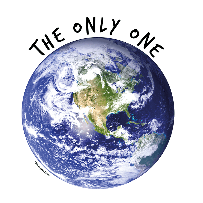 grafica_13 grafica_13