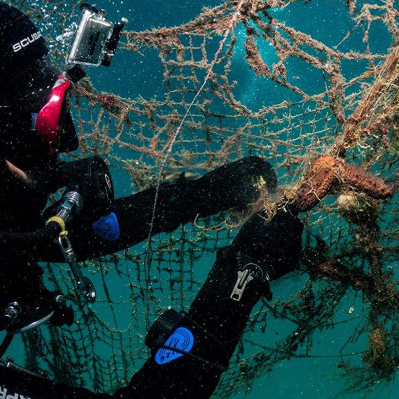 Interallgroup_Seassocks-3 Interallgroup_Seassocks-3