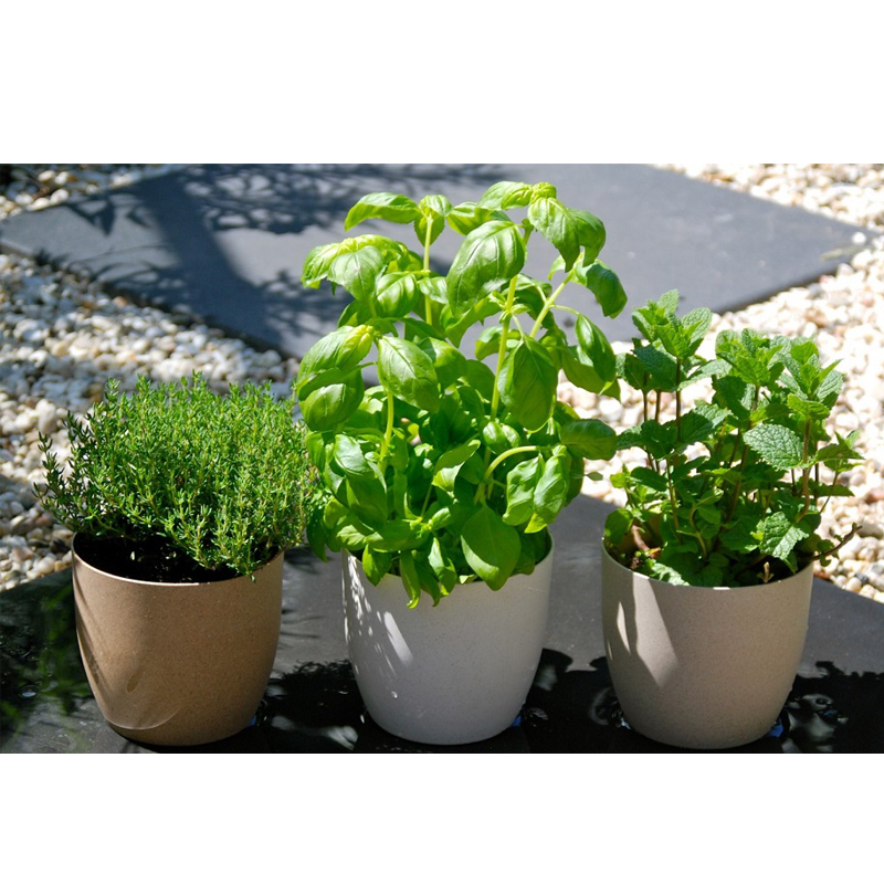 Vibers-Flowerpot-900600 Vibers-Flowerpot-900600