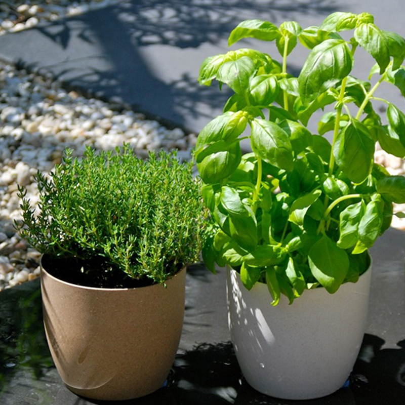 Vibers-Flowerpot-900600_1 Vibers-Flowerpot-900600_1