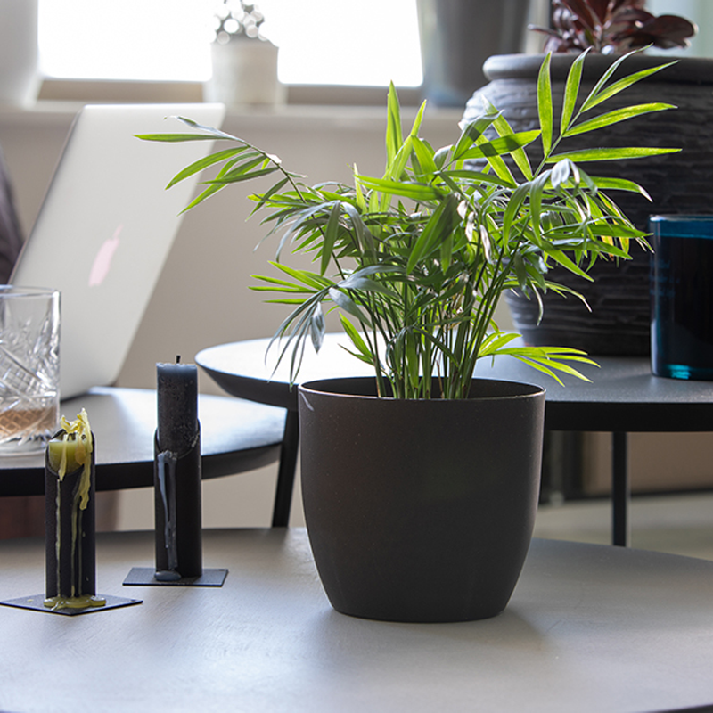 coffee-flower-pot-mood-1 coffee-flower-pot-mood-1