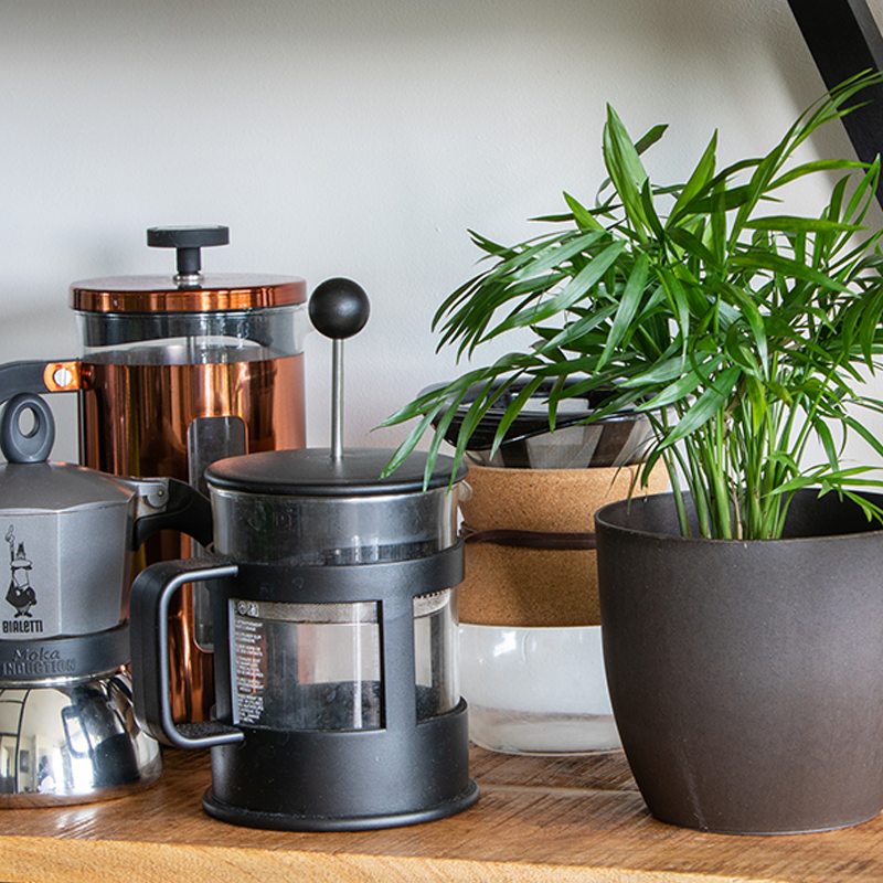 coffee-flower-pot-mood-2 coffee-flower-pot-mood-2