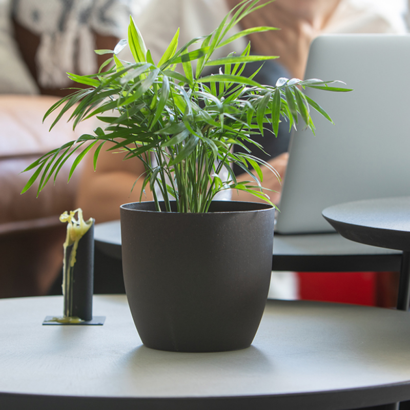 coffee-flower-pot-mood-3 coffee-flower-pot-mood-3