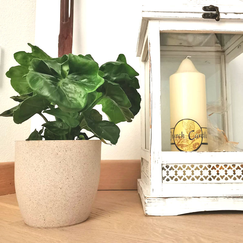 philo_candela philo_candela