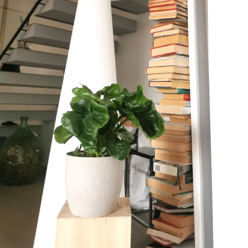 philo_lampada philo_lampada