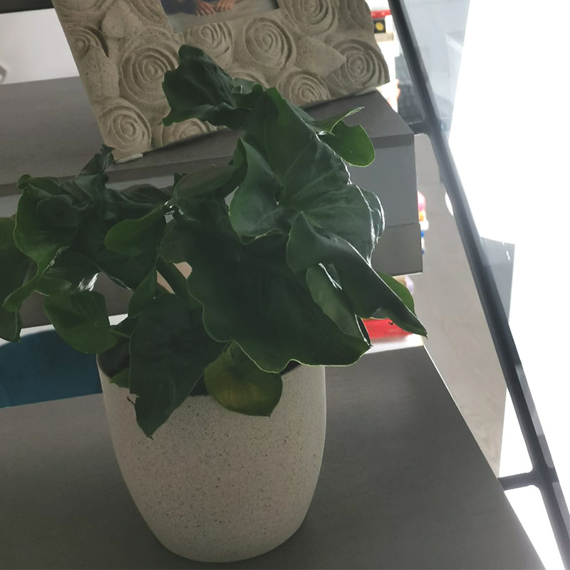 philo_scala philo_scala