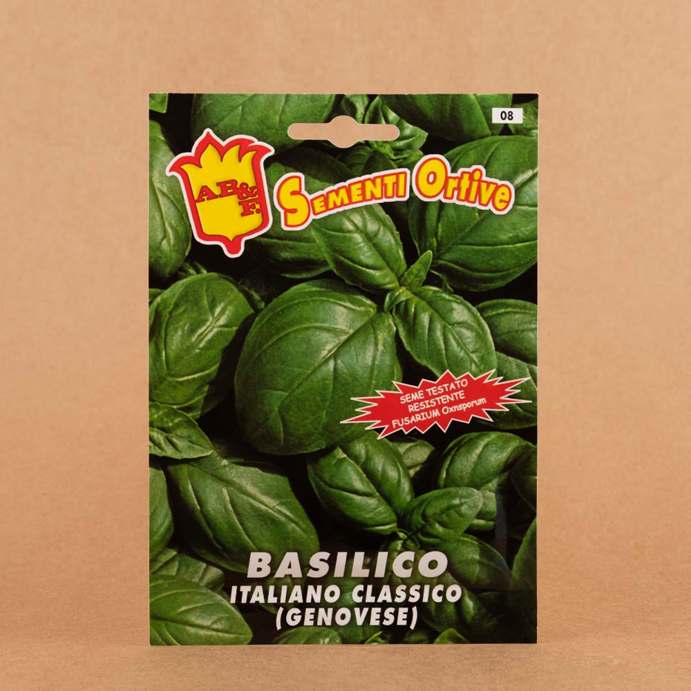 basilico basilico