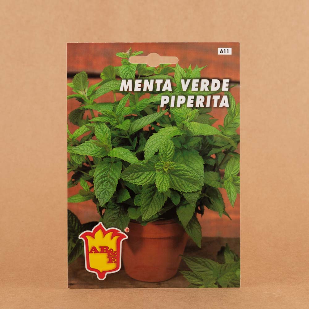 menta menta