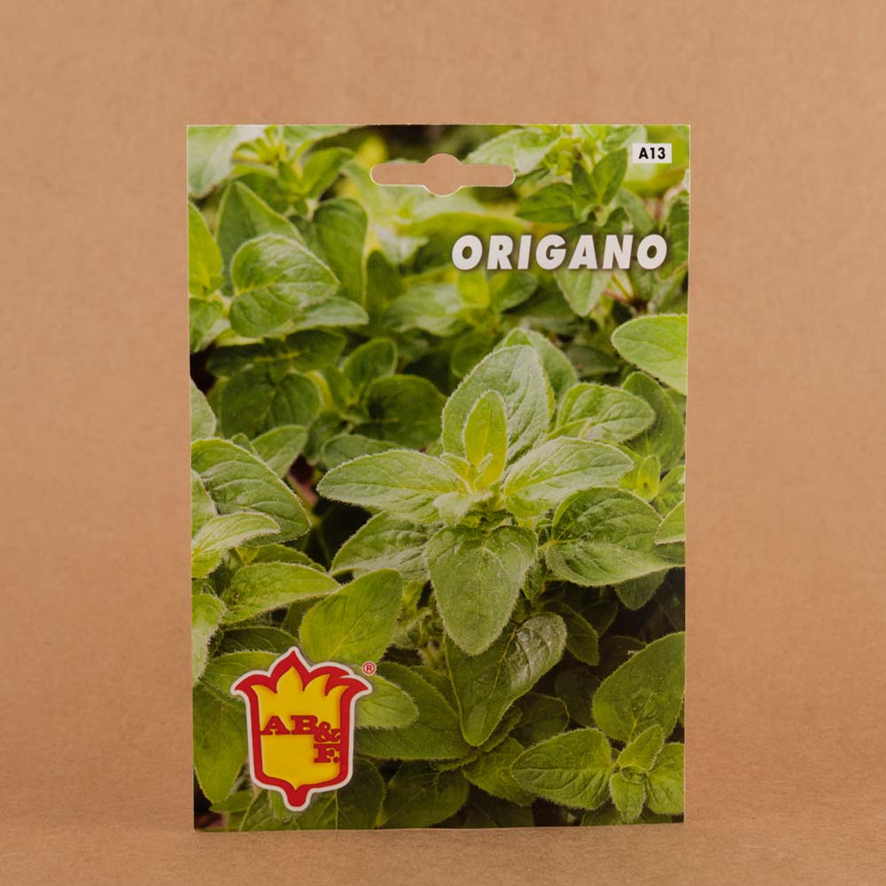 origano origano