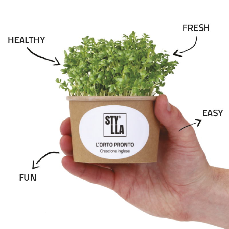 orto_pronto_main orto_pronto_main